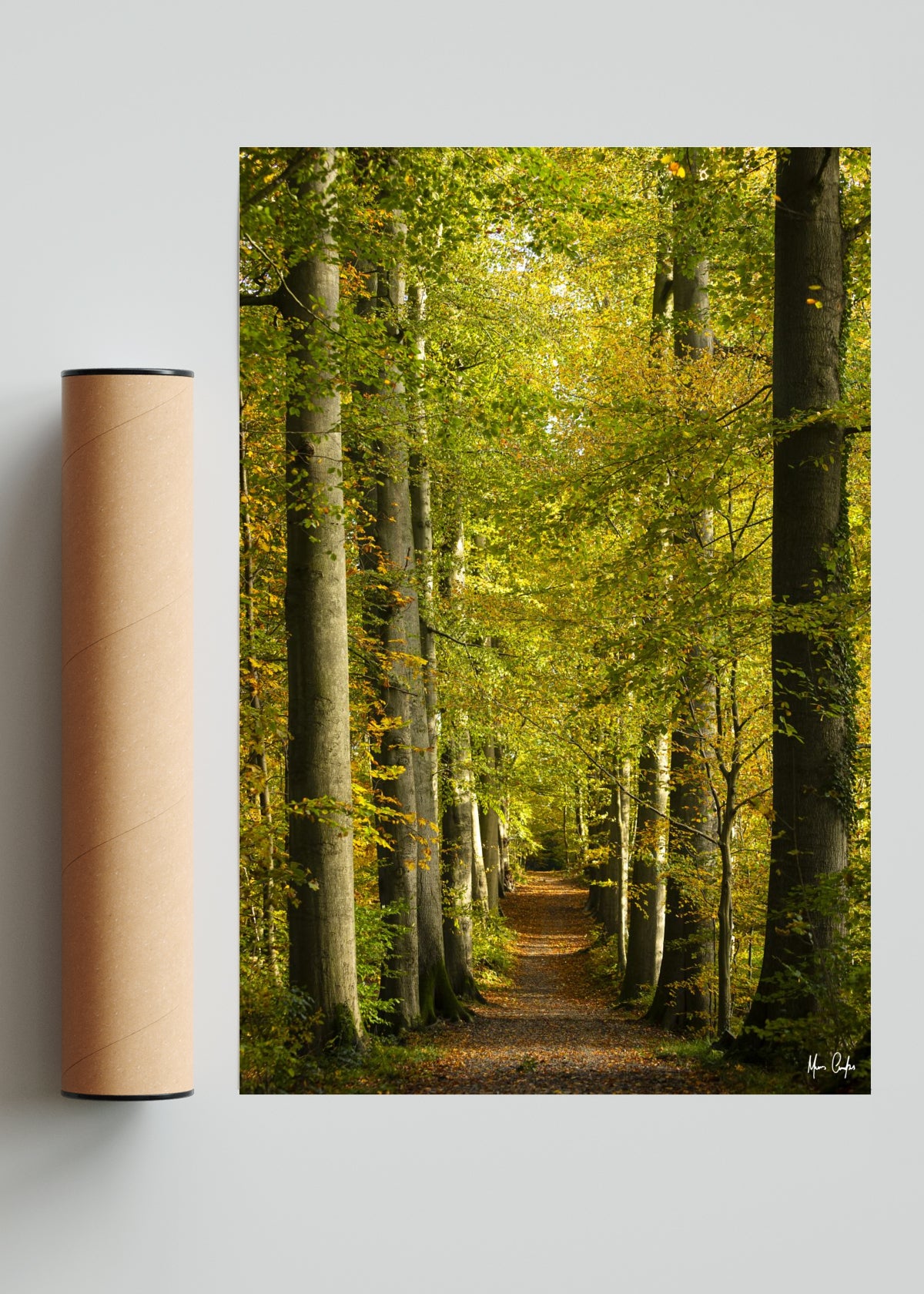 UN SENDERO OTOÑAL - 1 - FotoV Solo print