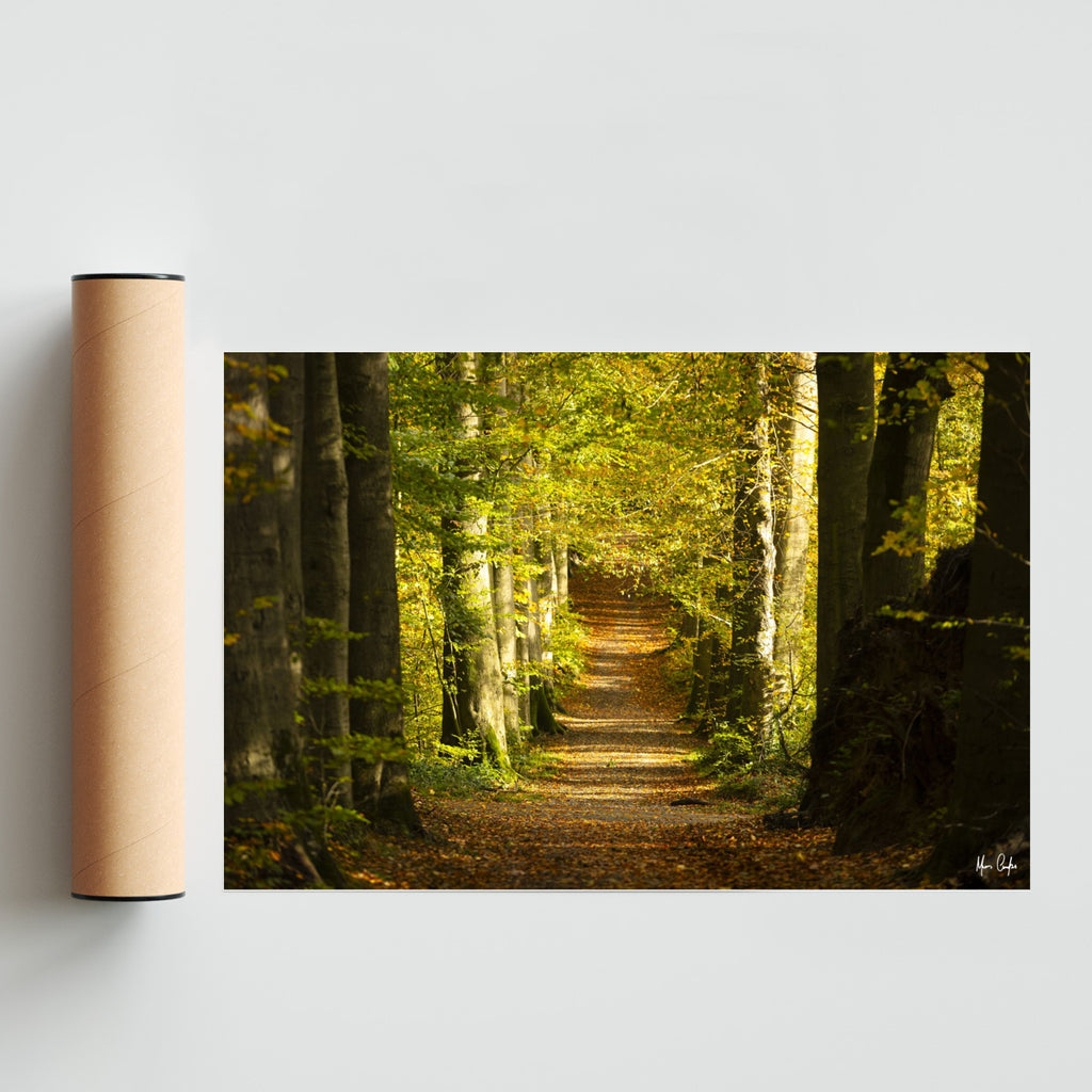 UN SENDERO OTOÑAL - 2 - FotoH solo print