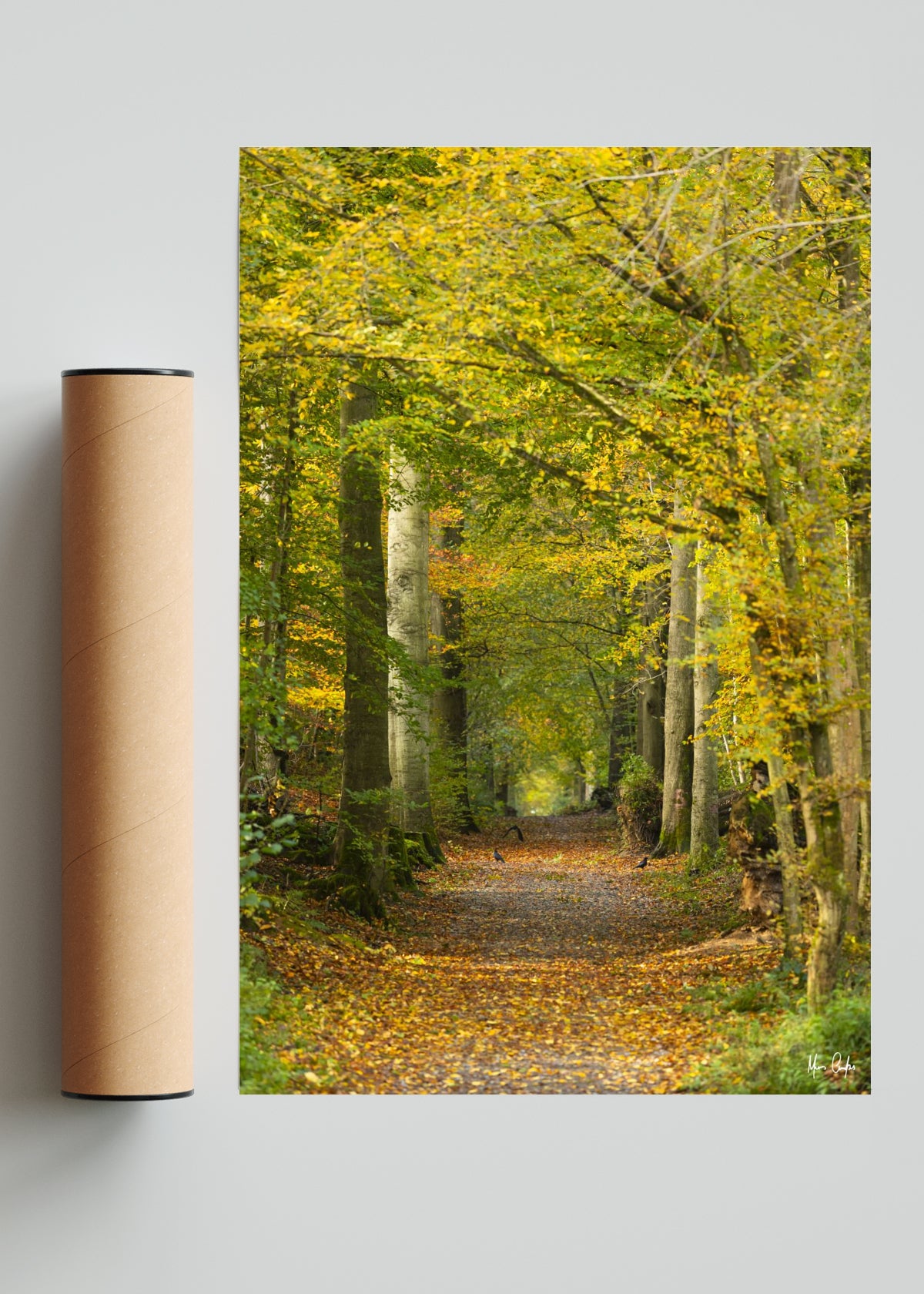UN SENDERO OTOÑAL - 3 - FotoV Solo print