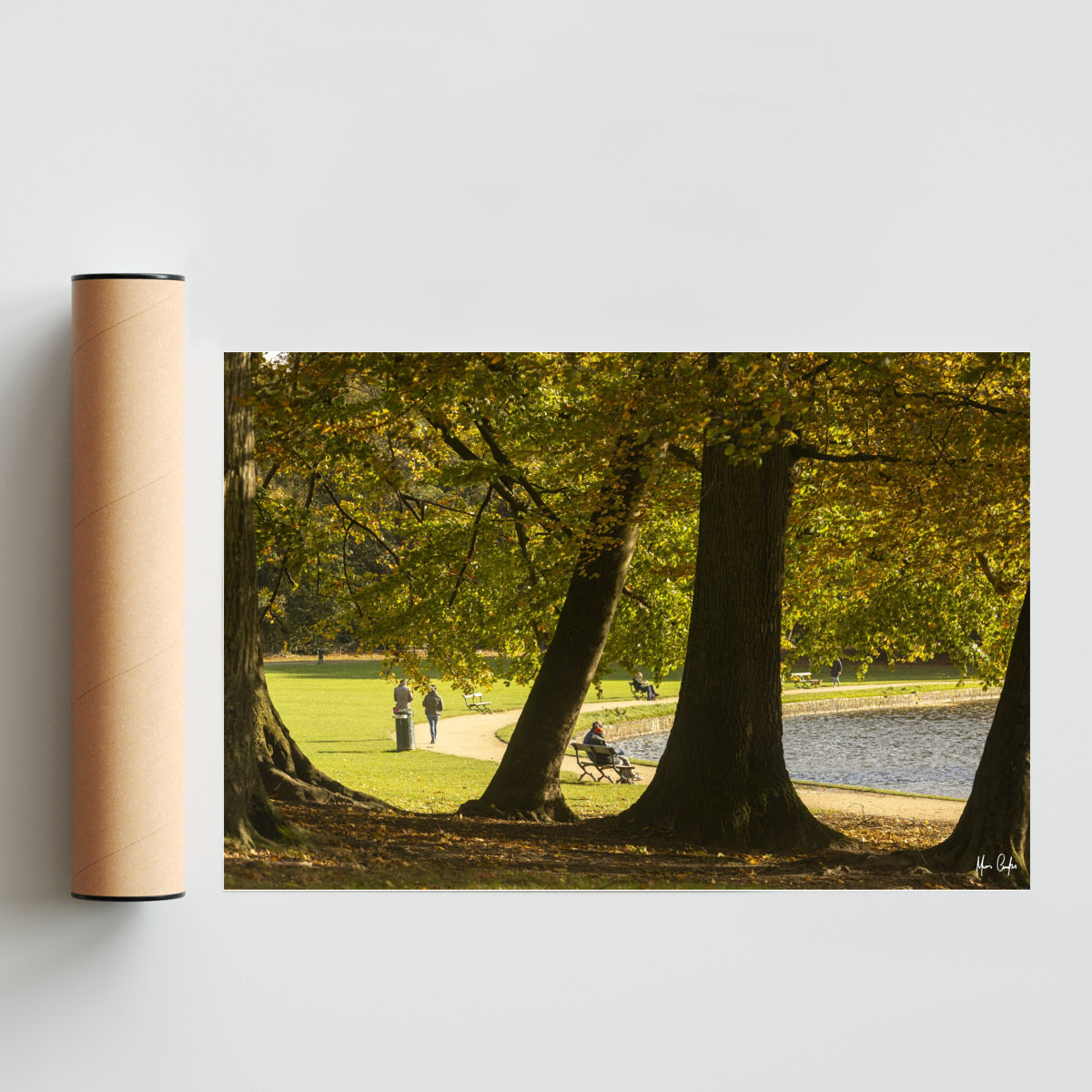 OTOÑO EN UN PARQUE BELGA - FotoH solo print