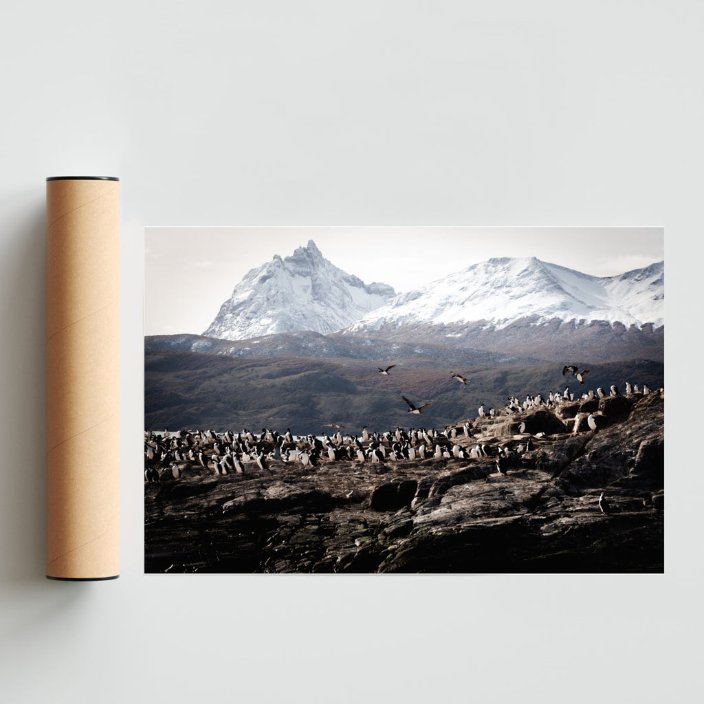Isla de Pájaros - FotoH solo print