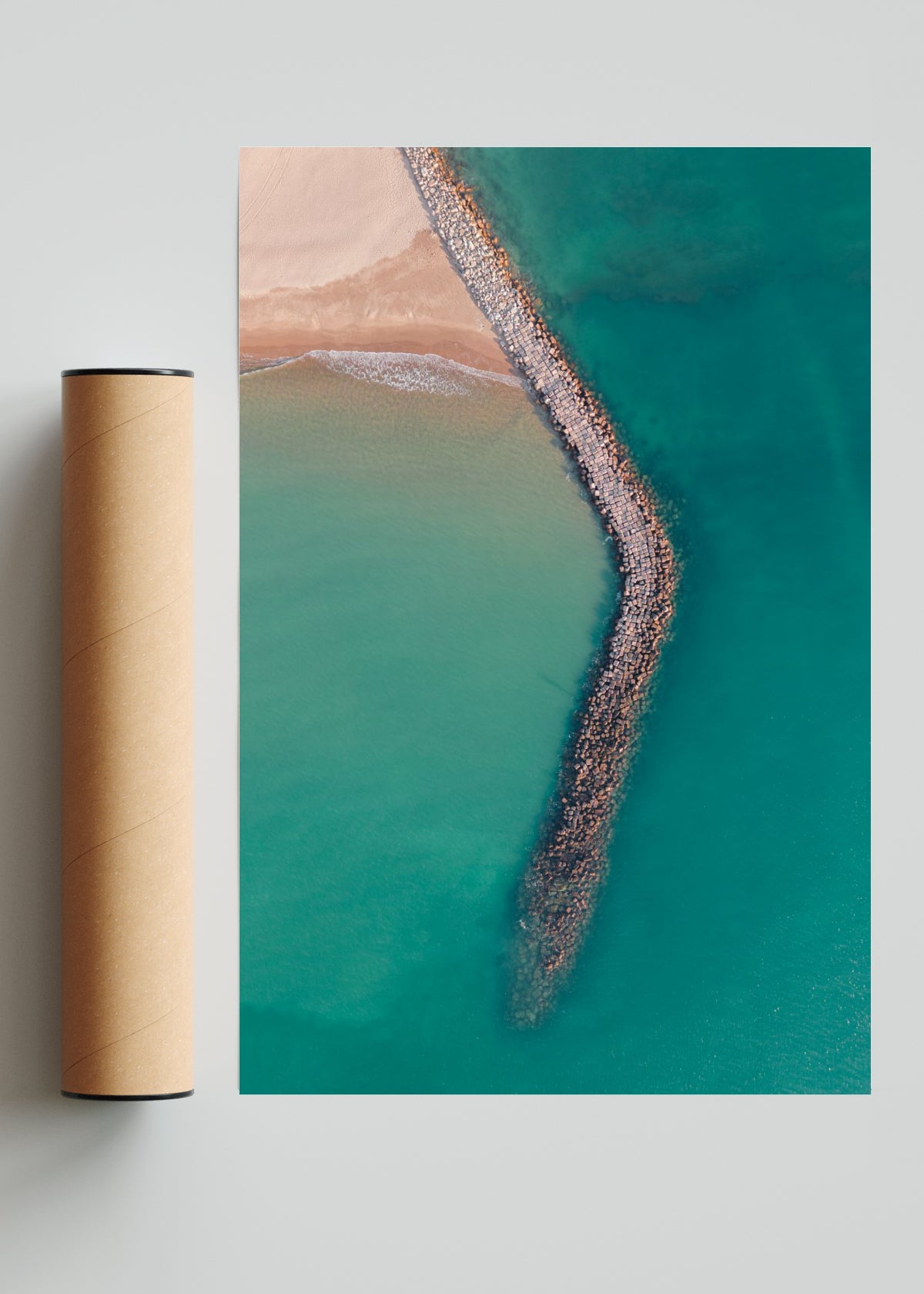 Dragón Marino - FotoV Solo print