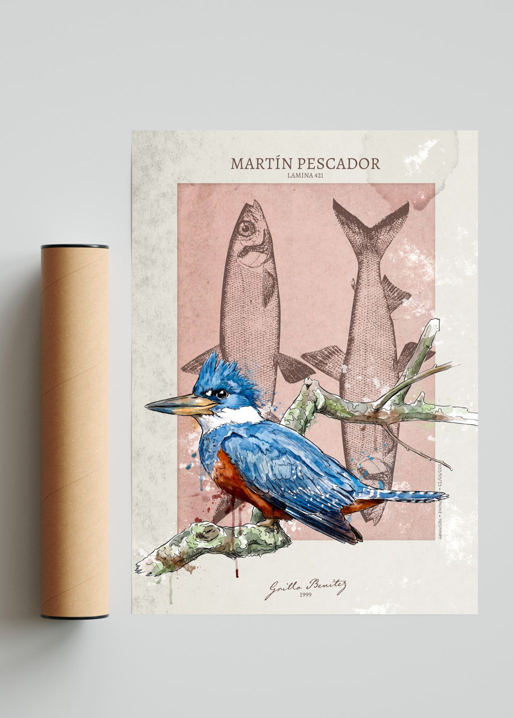 Martín Pescador - Lamina 421 - Retrato solo print