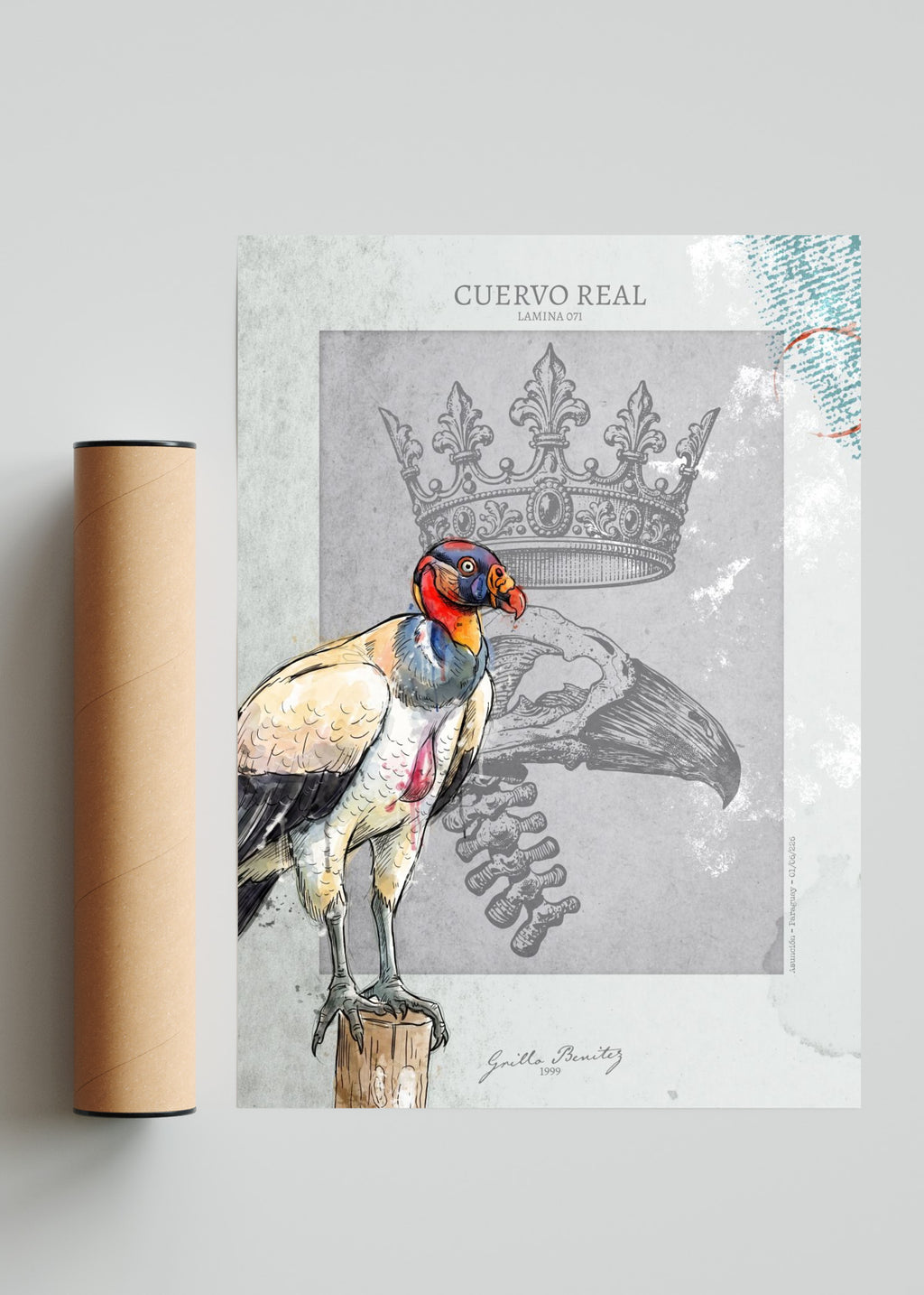 Cuervo Real - Lamina 071 - Retrato solo print