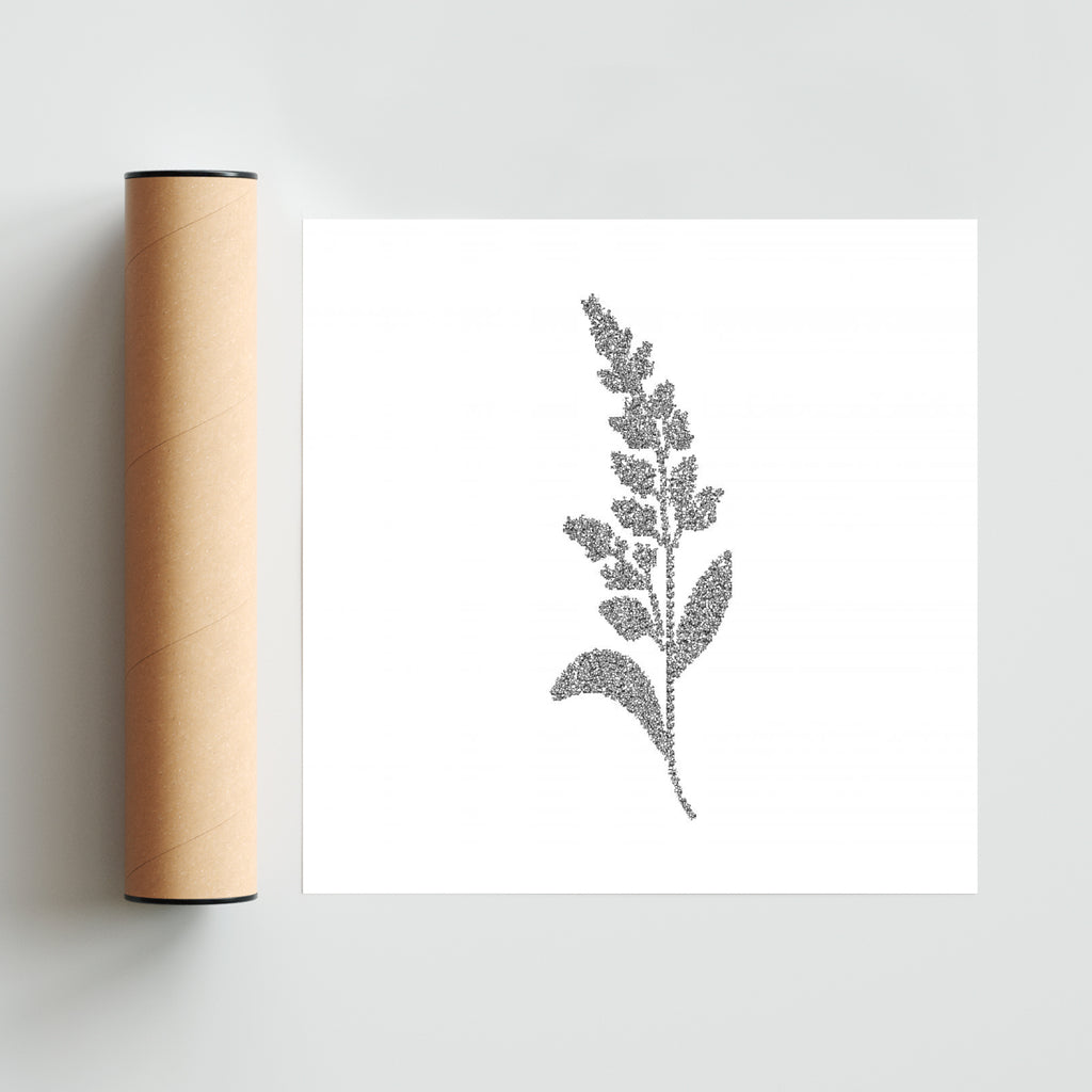 FE-02 - Cuadrado solo print