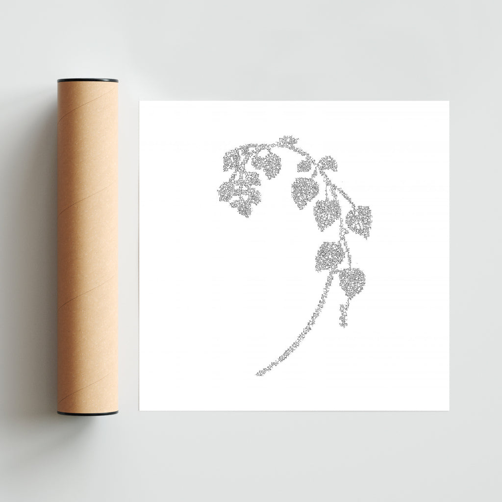 FE-04 - Cuadrado solo print