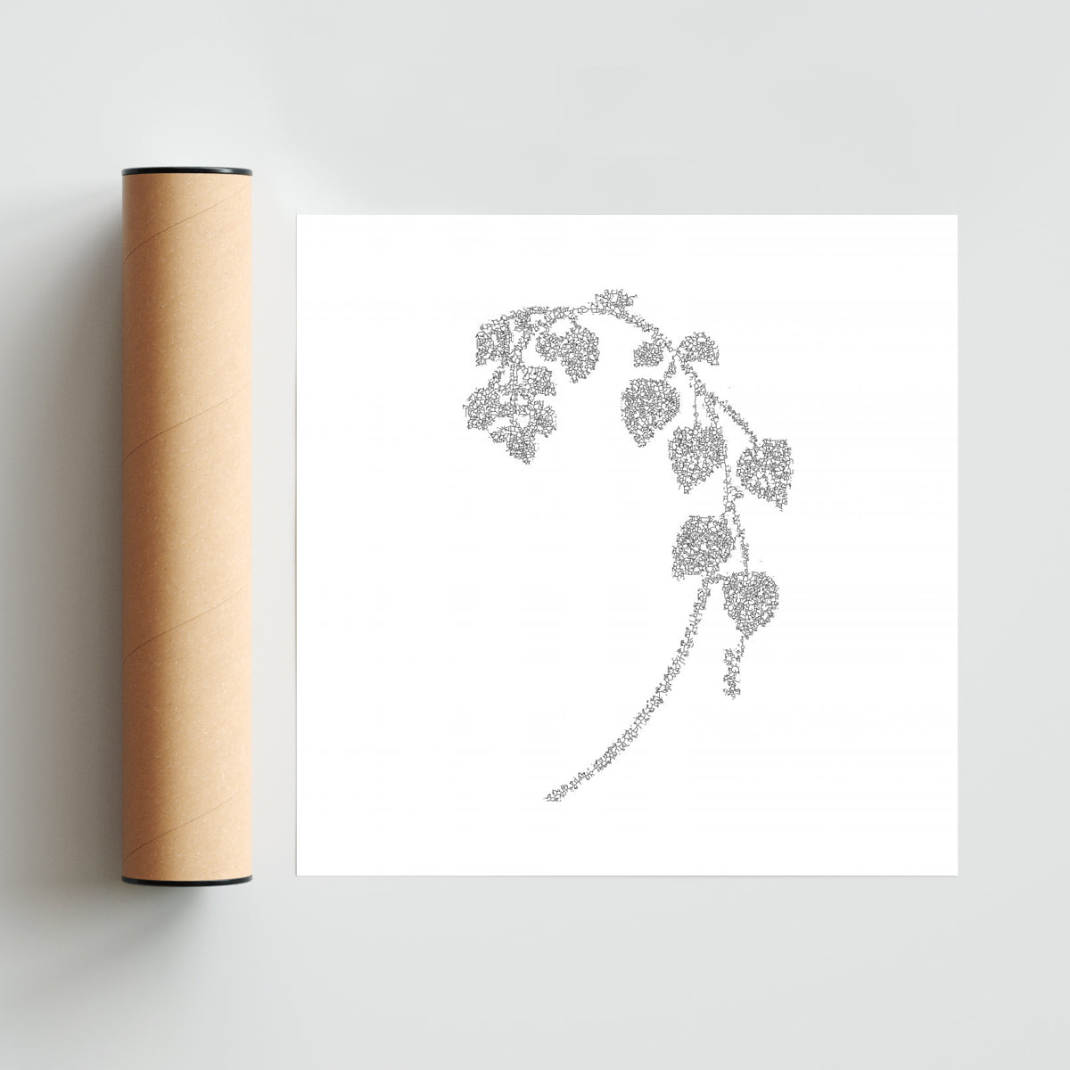 FE-04 - Cuadrado solo print