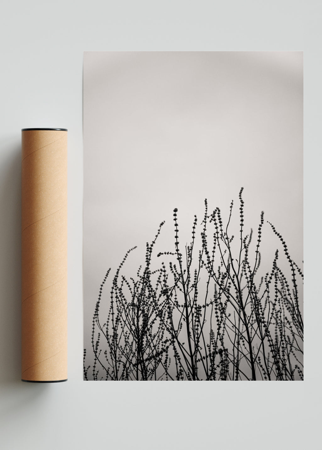 Agreste - FotoV Solo print