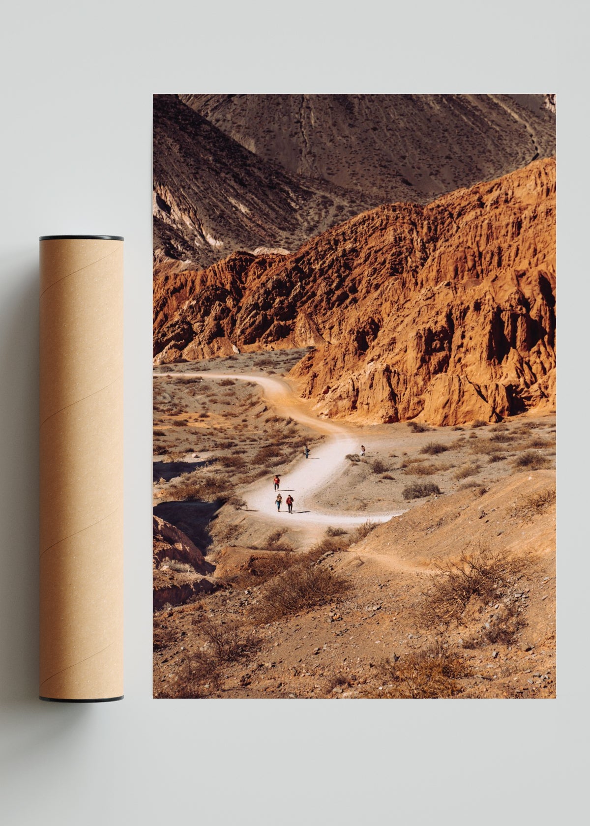 Sendero en Jujuy - FotoV Solo print