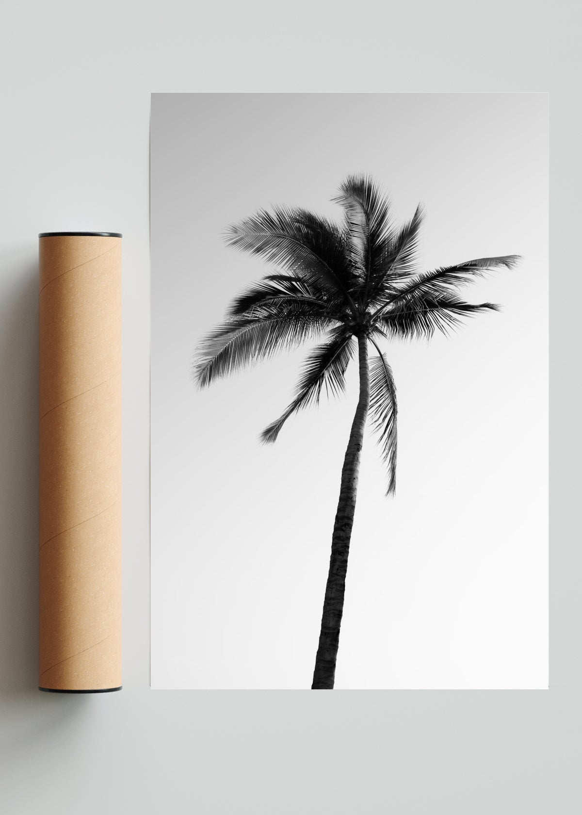 Sayulita Palm. Nayarit, México. - FotoV Solo print