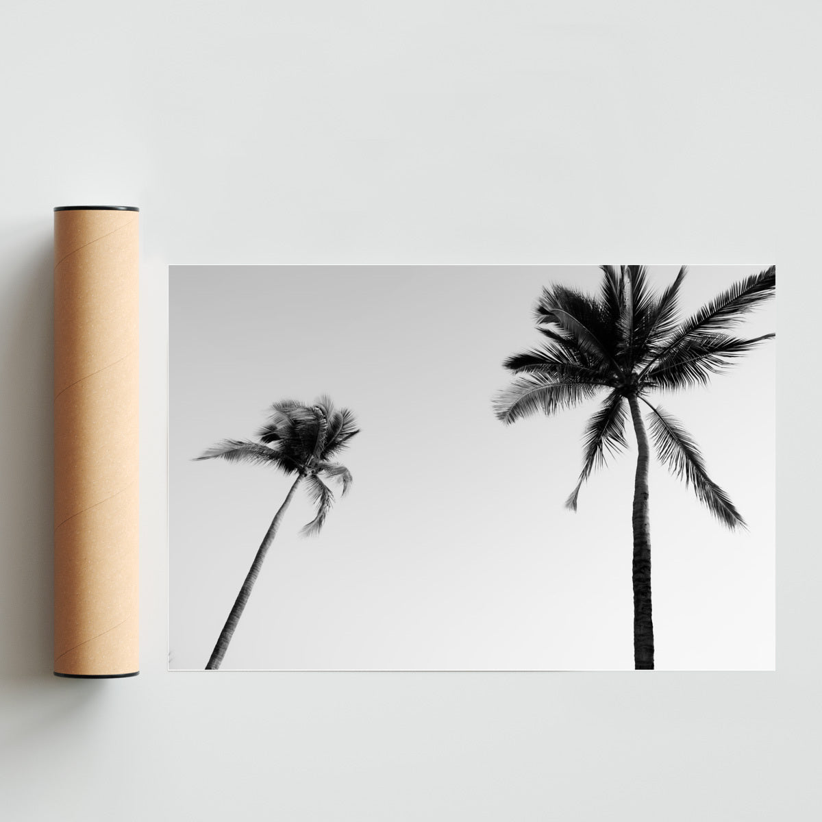 Sayulita Palms. Nayarit, México. - FotoH solo print