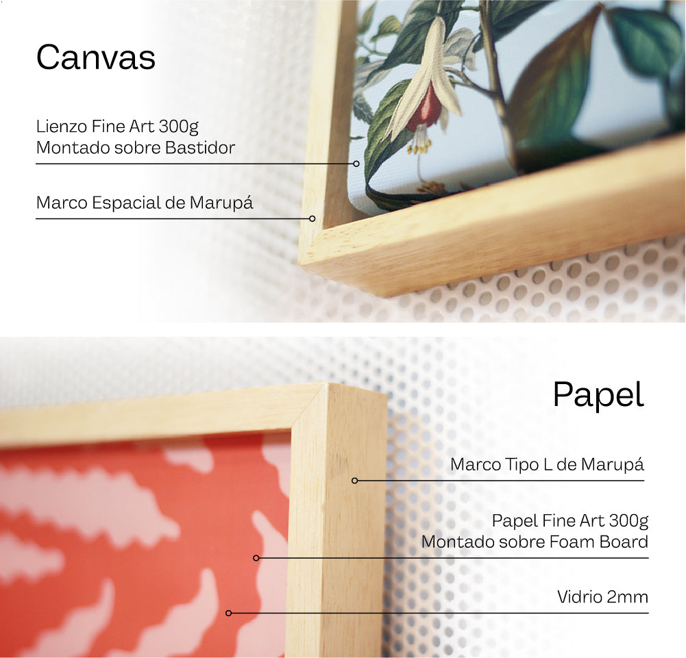 El Gran Mariscal - Explicacion