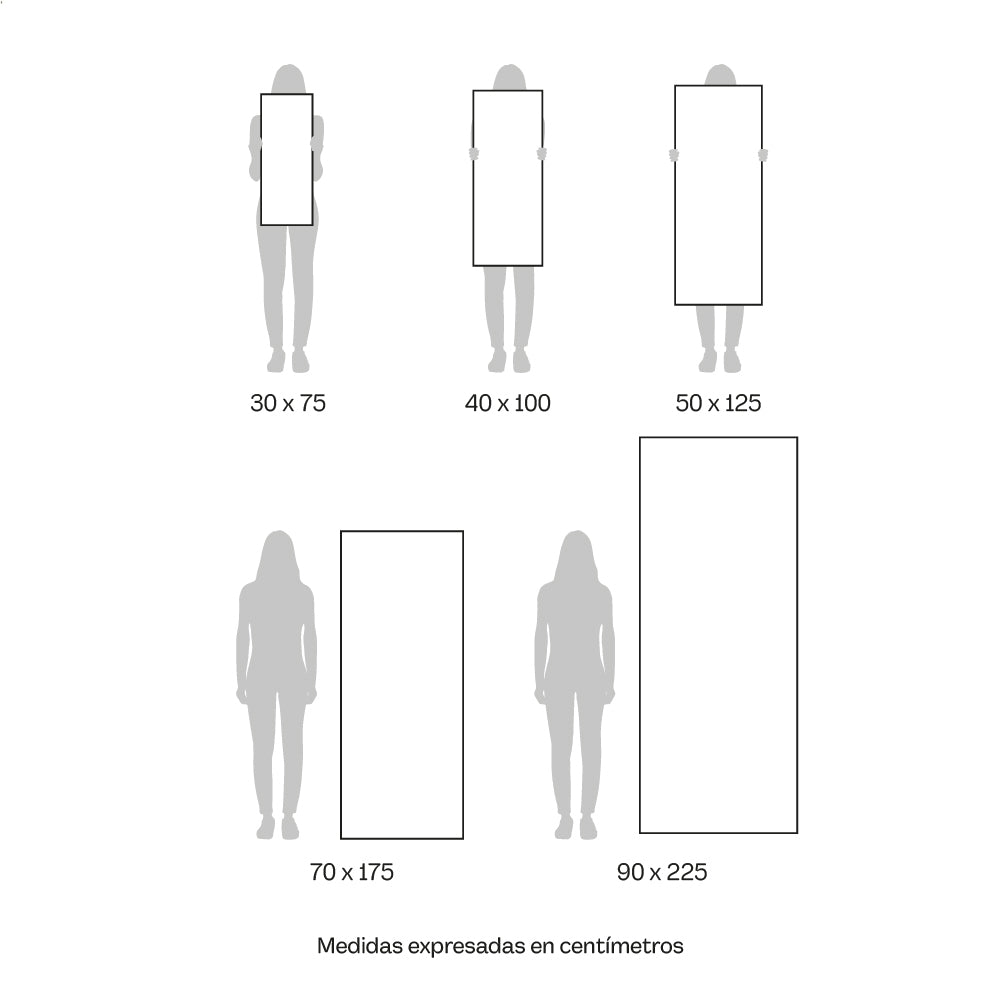 Aristocracia animal - Proporciones PanoV
