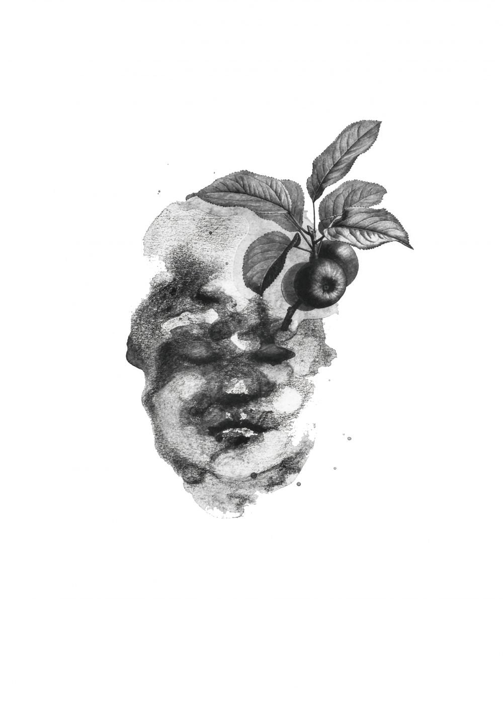 Fruto