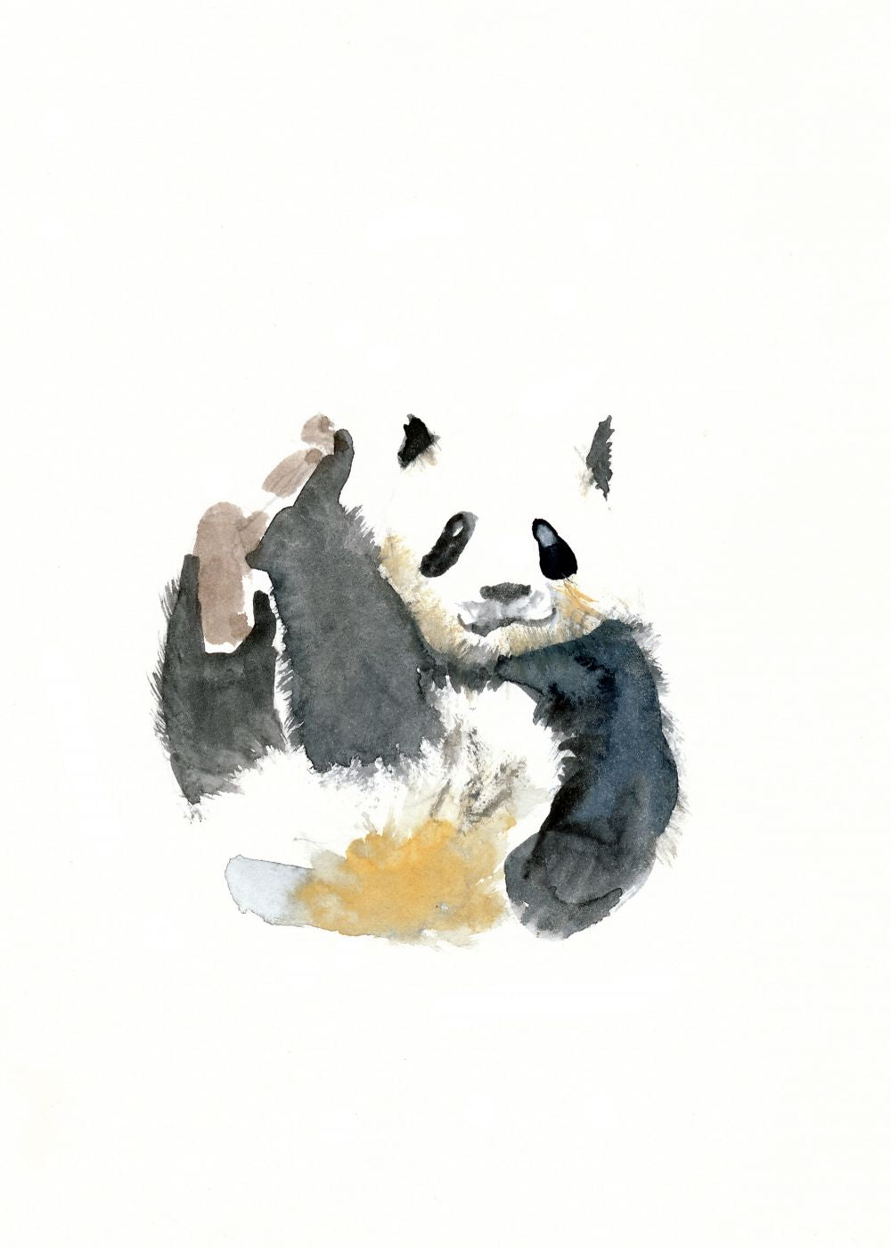 Oso panda