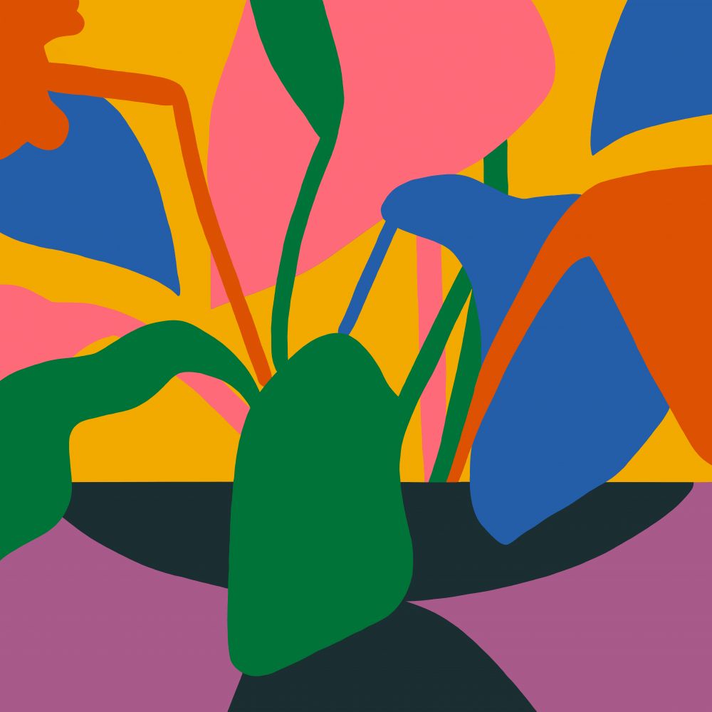 Plantas en verano
