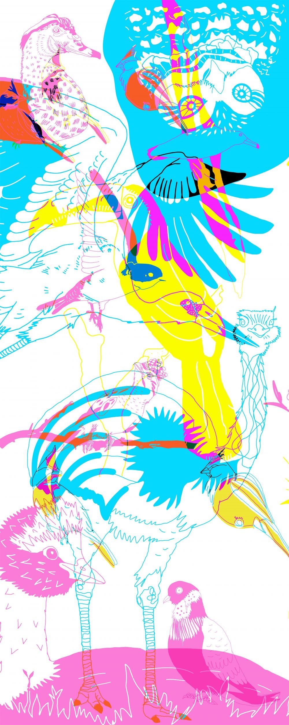 Bandada de aves2