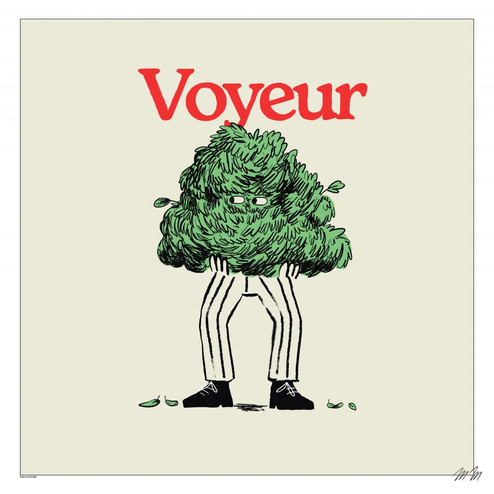 Voyeur