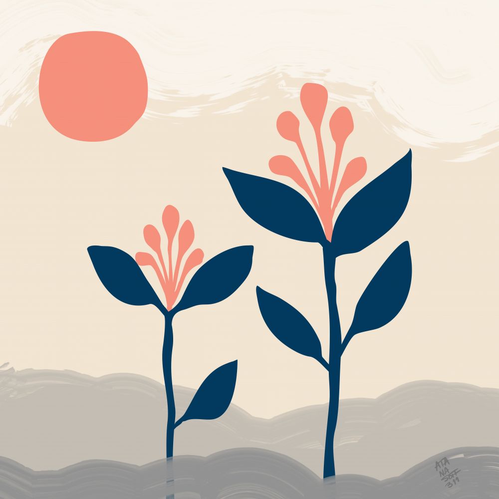Flores en el desierto