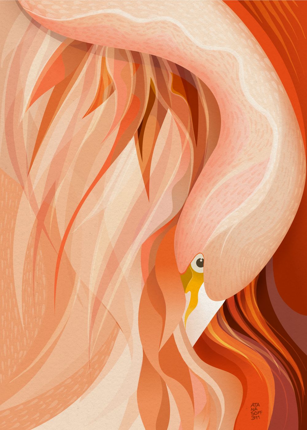 Flamenco#01