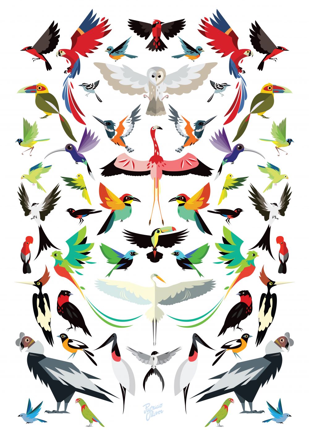 Aves de latino América