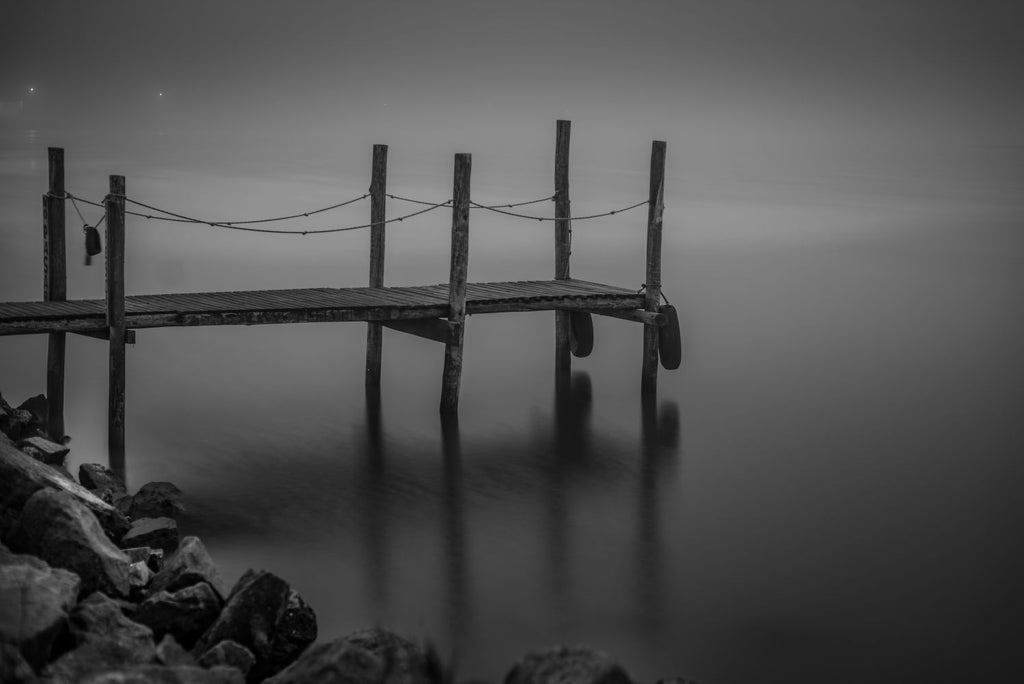Niebla en la laguna