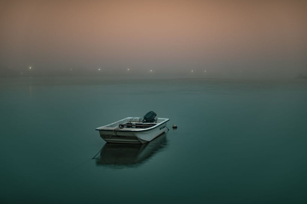 Albufera en calma