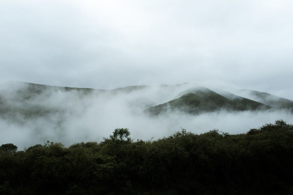 Nubes bajas