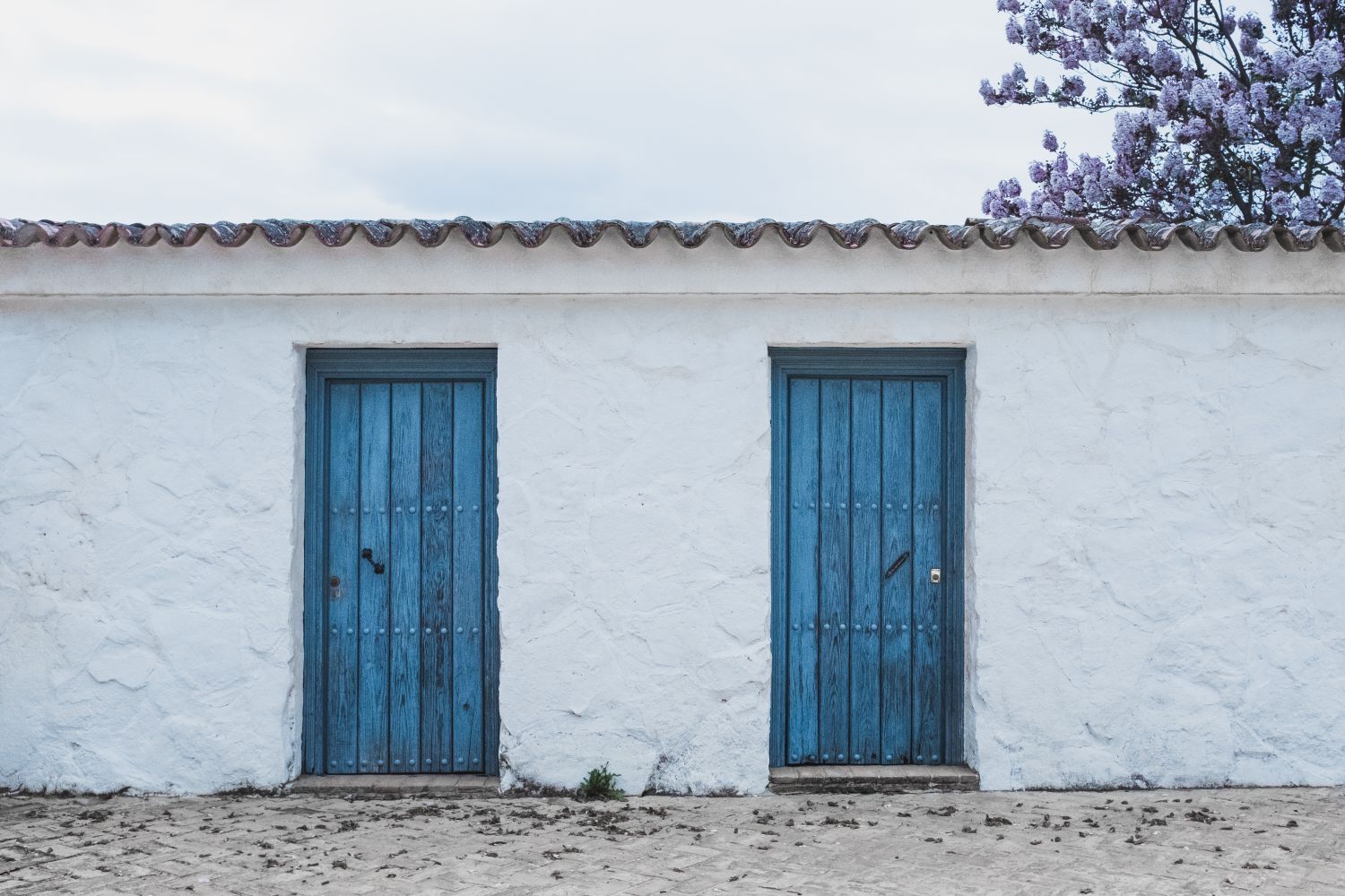 Puertas de frío