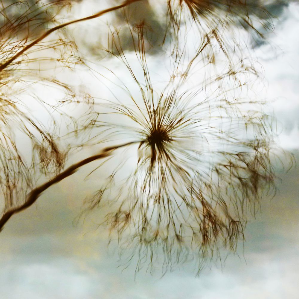 Reflejo