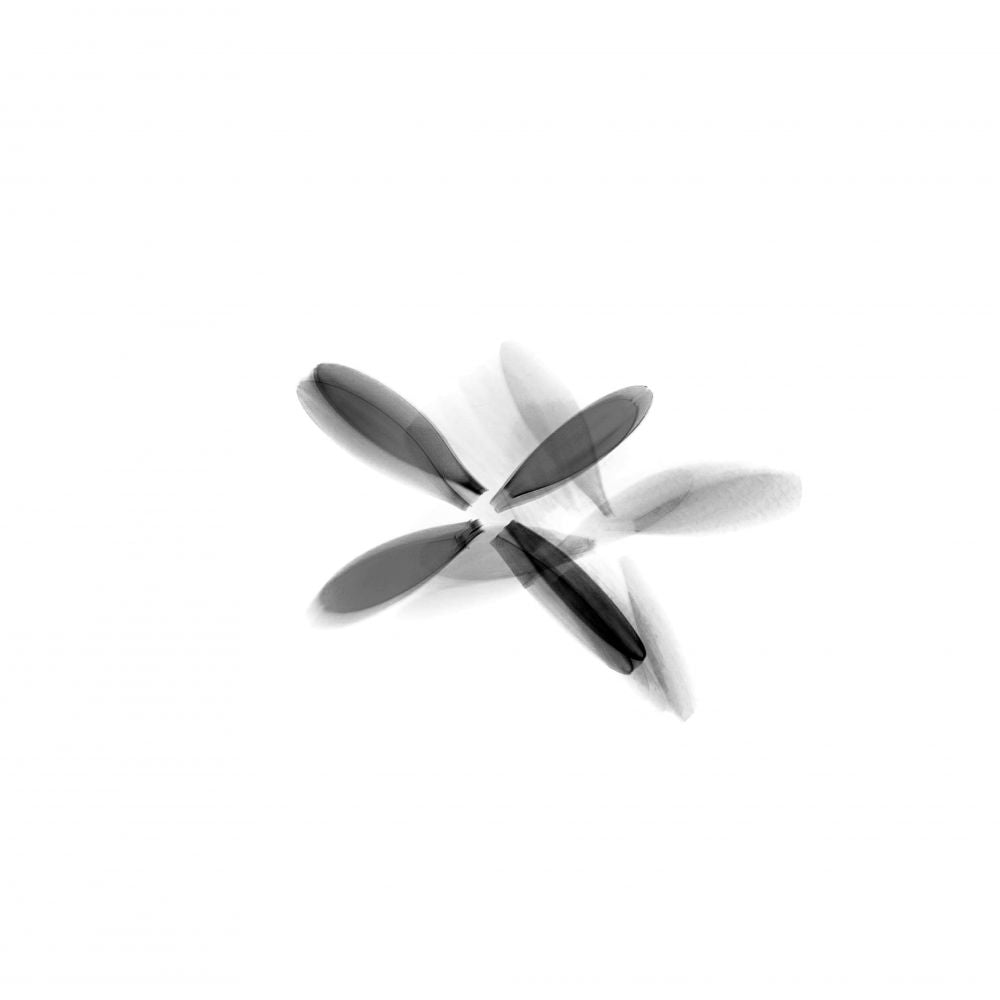 FLOR NEGRA (Serie VICEVERSA)