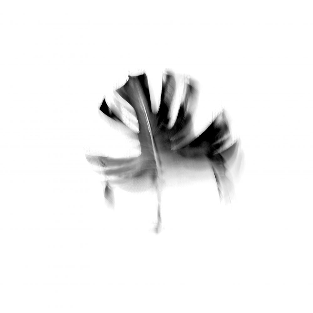 Hoja negra (de la Serie Viceversa)