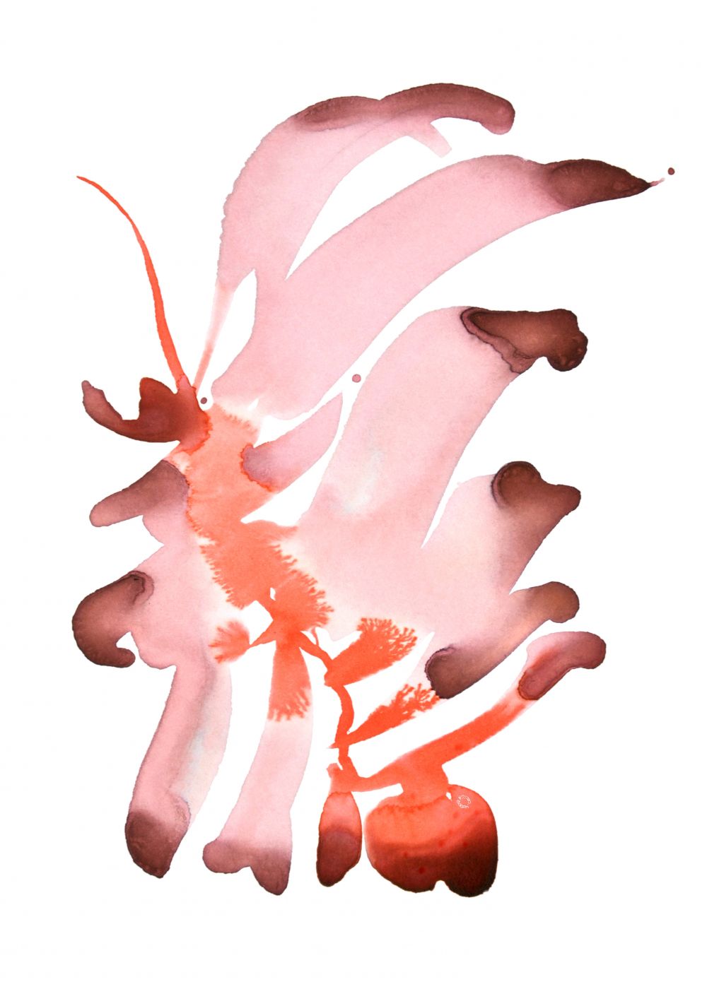CEIBO 1