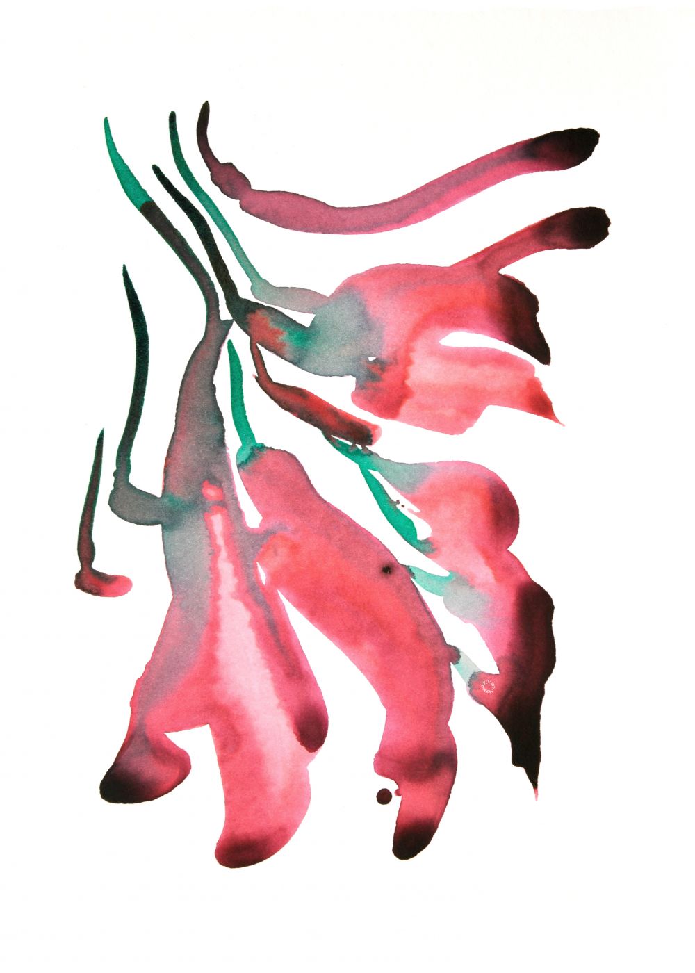 CEIBO 2