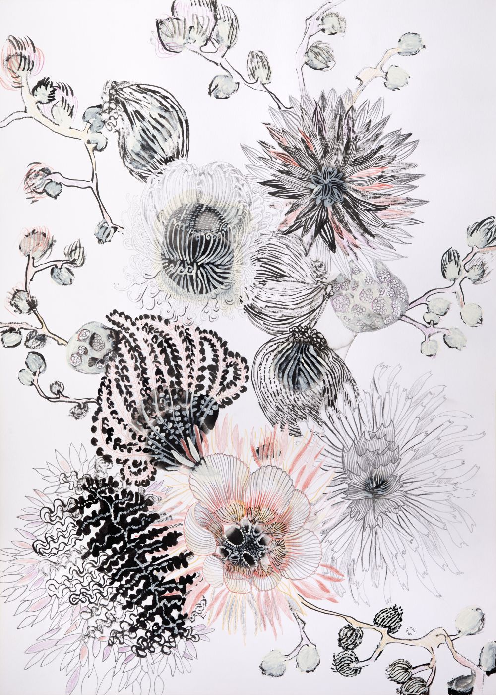 INFLORESCENCIA