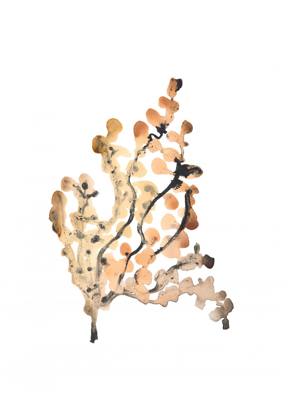 OTOÑO 1