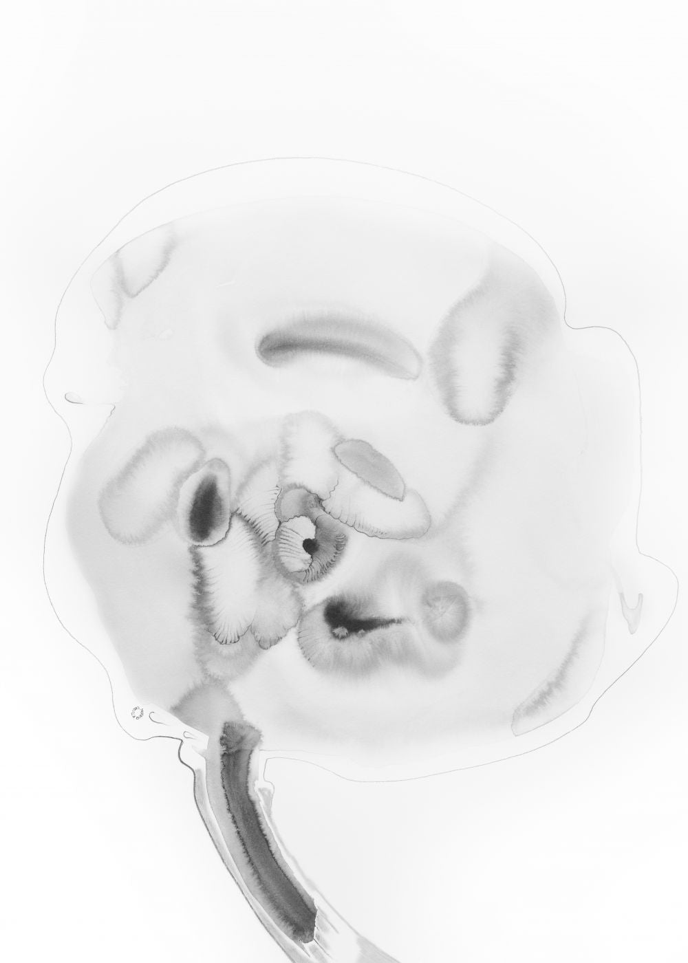 FLOR FANTASMA 1