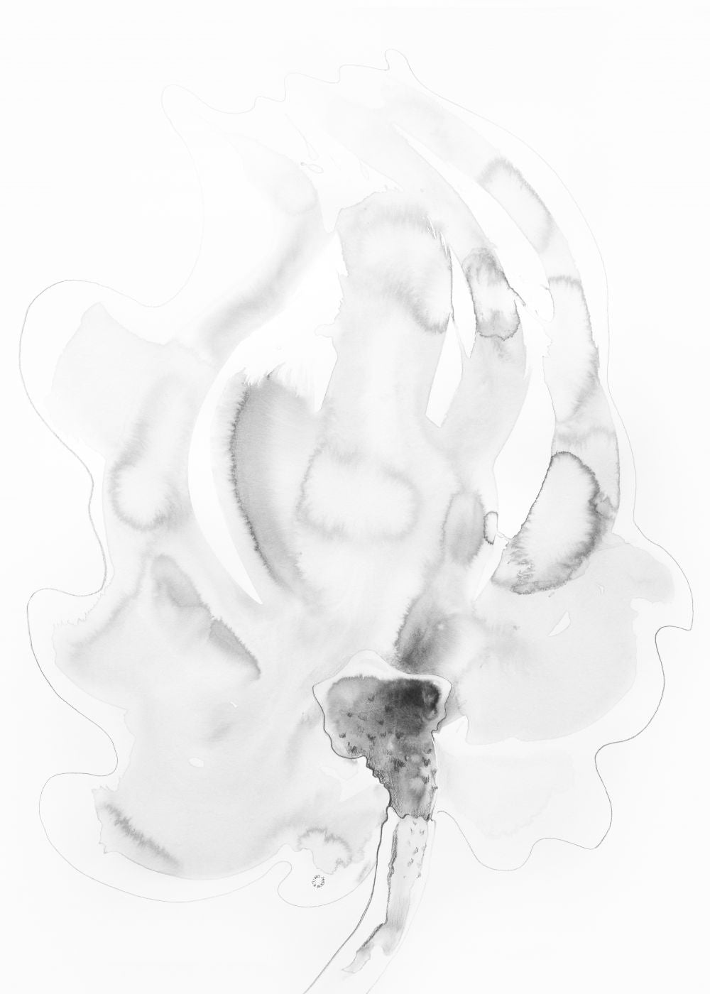 FLOR FANTASMA 2