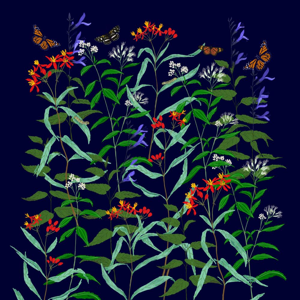 Jardín de Mariposas
