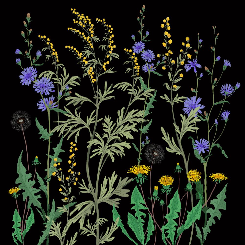 Plantas Cosmopolitas