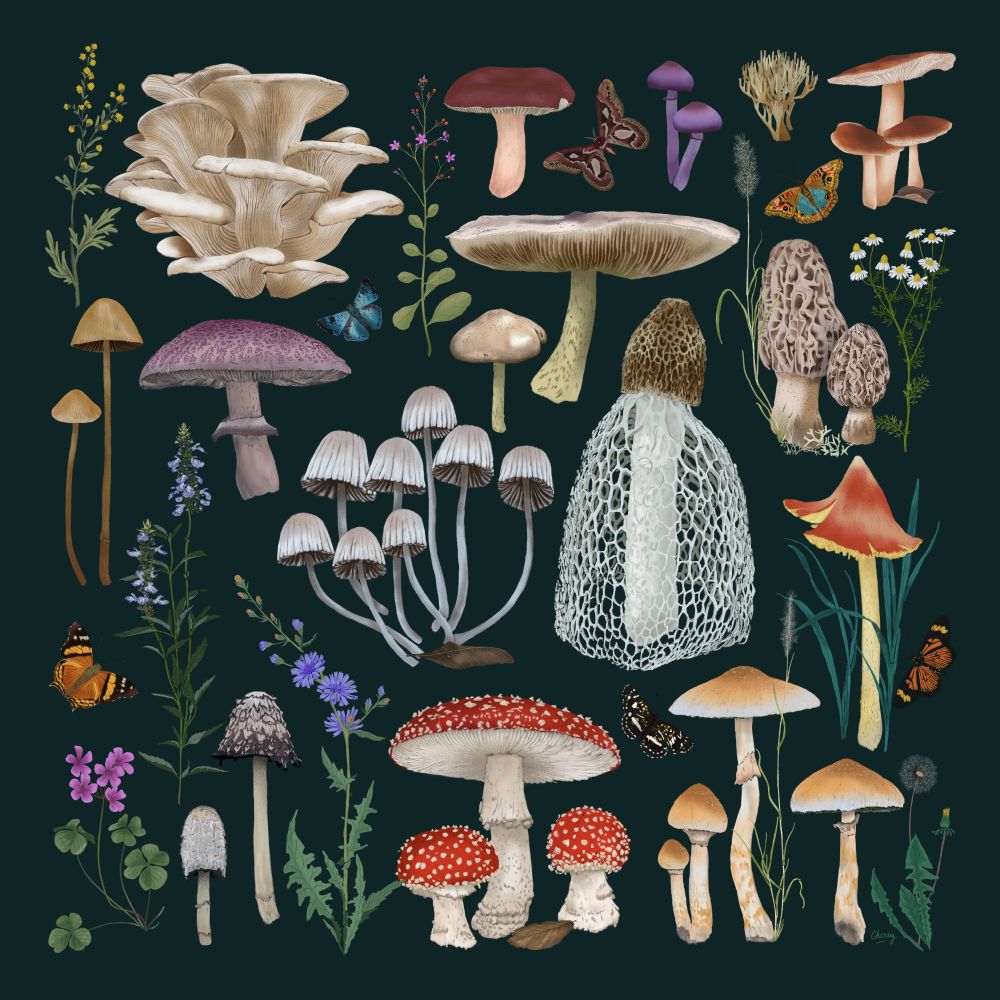 Fungi