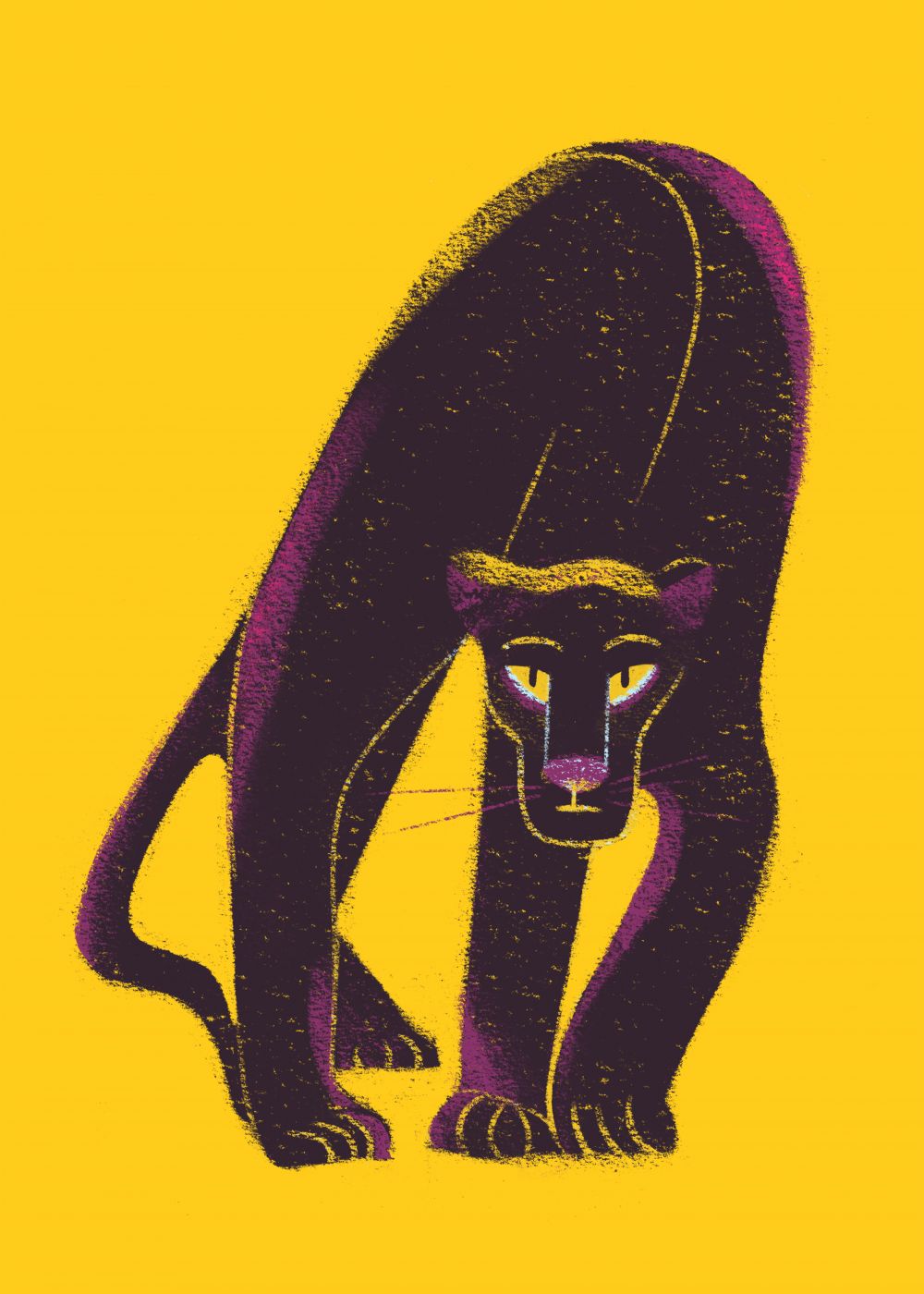 Pantera Negra