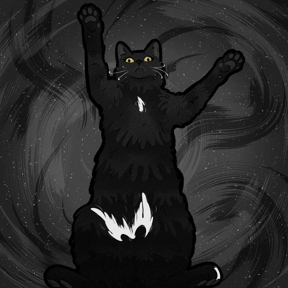 Gato negro
