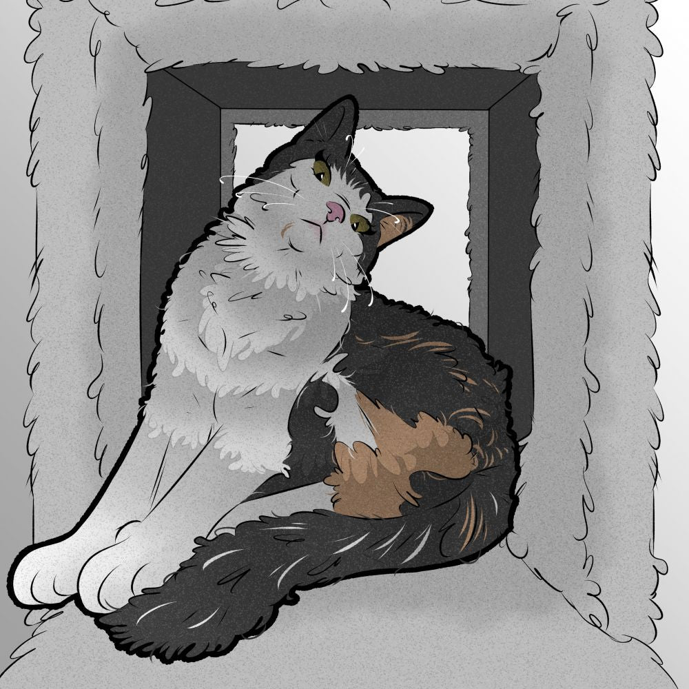Gato blanco