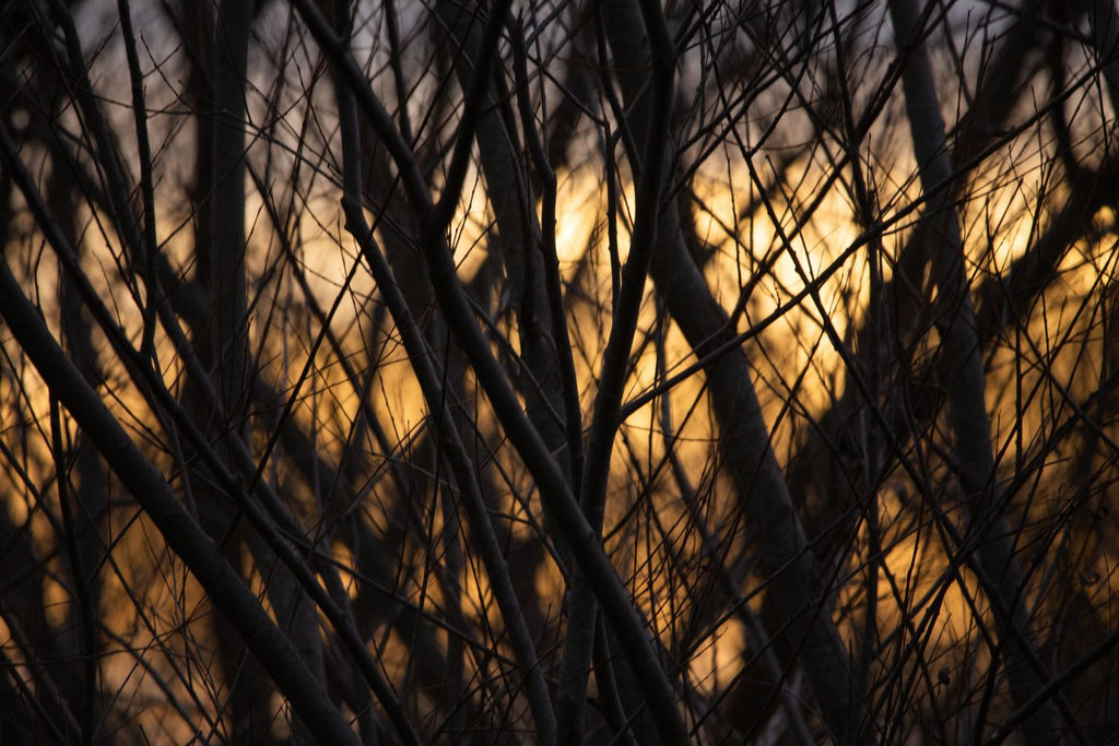 Atardece invierno