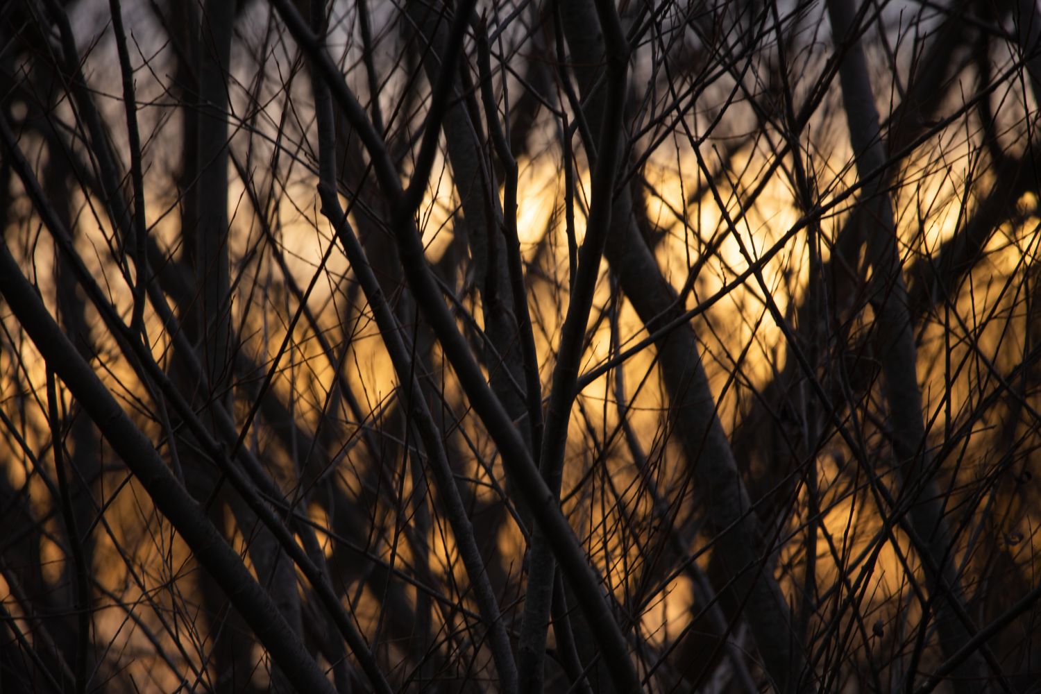 Atardece invierno