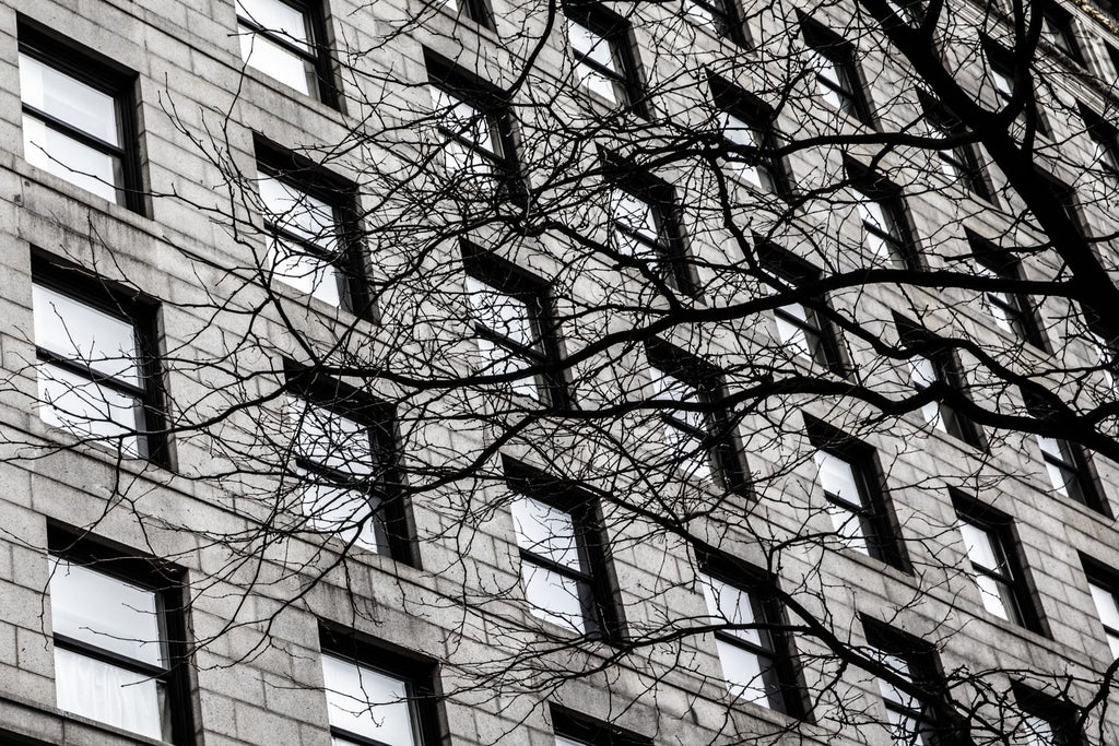 Ventanas de Boston