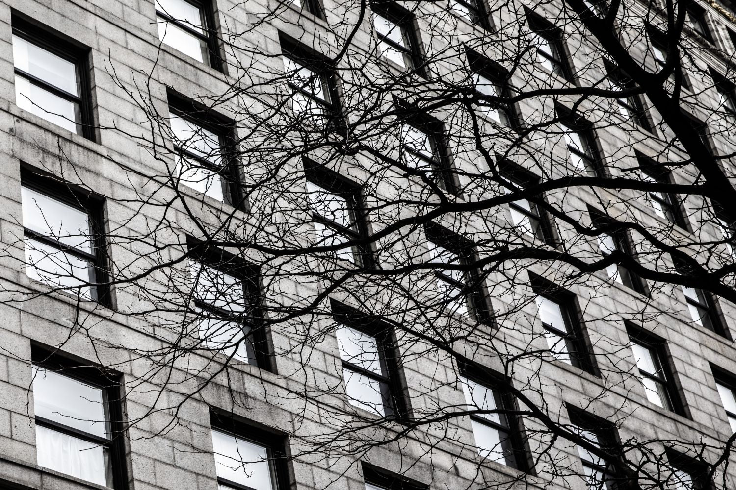 Ventanas de Boston