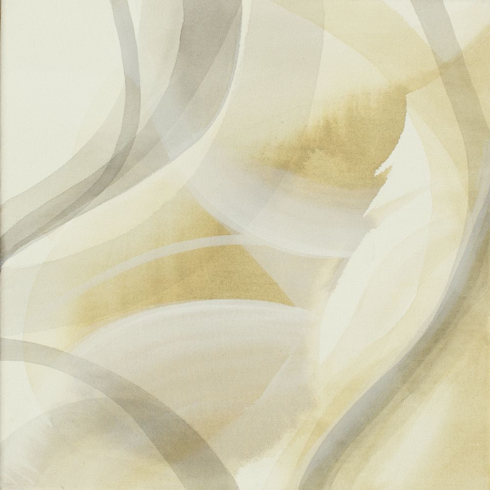 Diptico Transparencia I