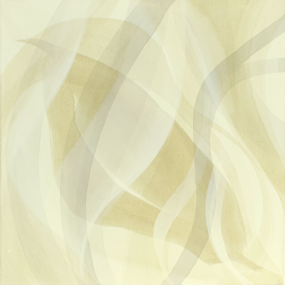 Diptico Transparencia II